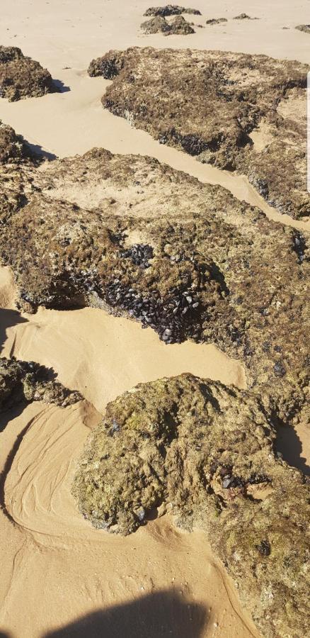 Casa Da Praia البوفيرا المظهر الخارجي الصورة